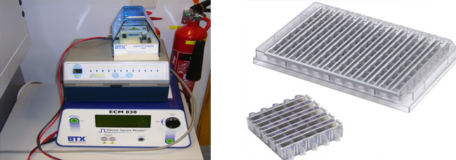 High Throughput Electro-poration